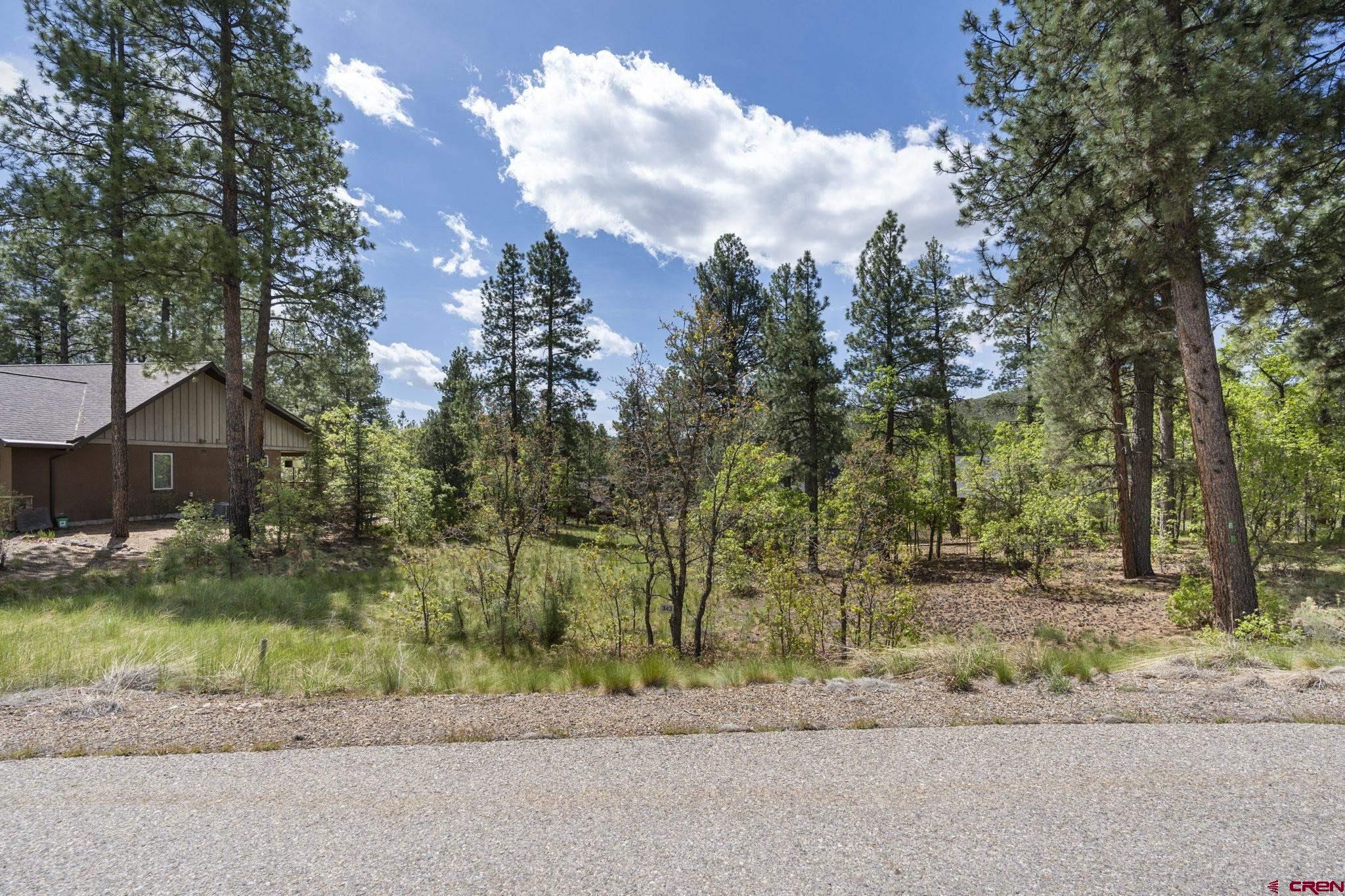 47 Needle Creek