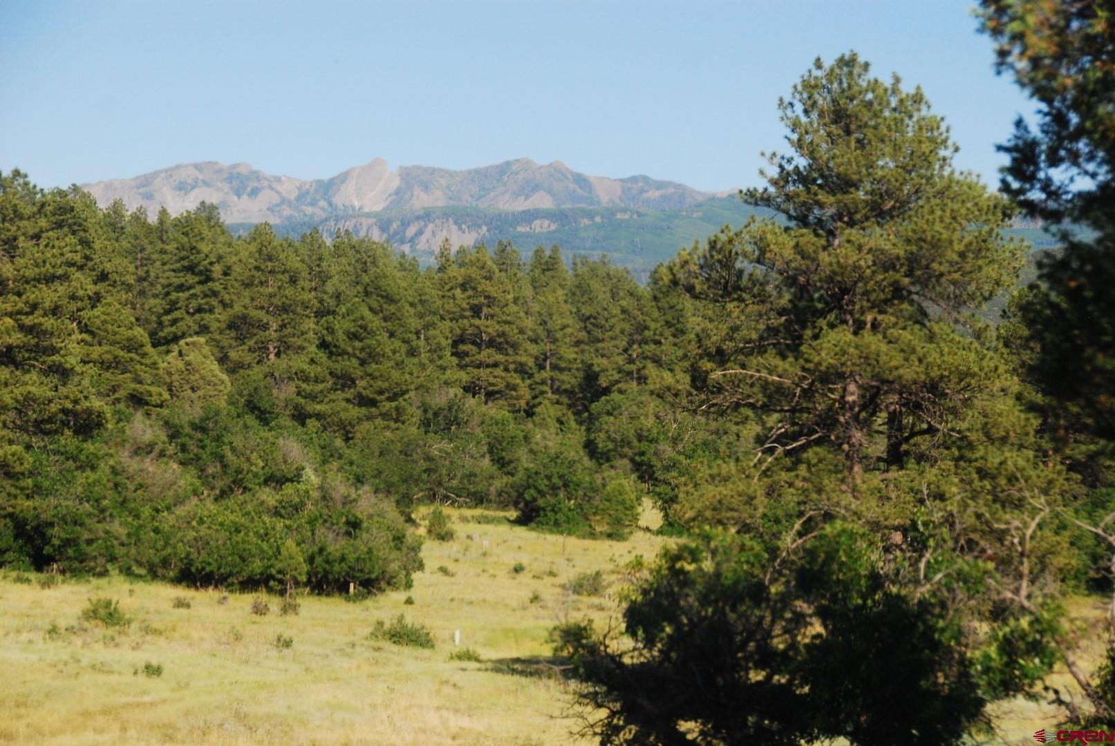 X US Hwy 84 #115