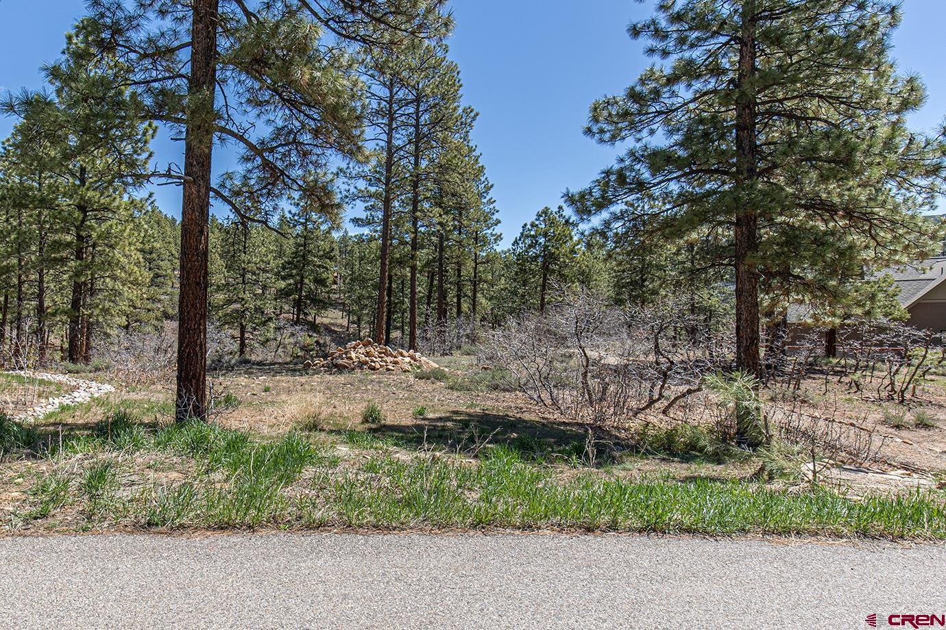 97 Canyon Pines