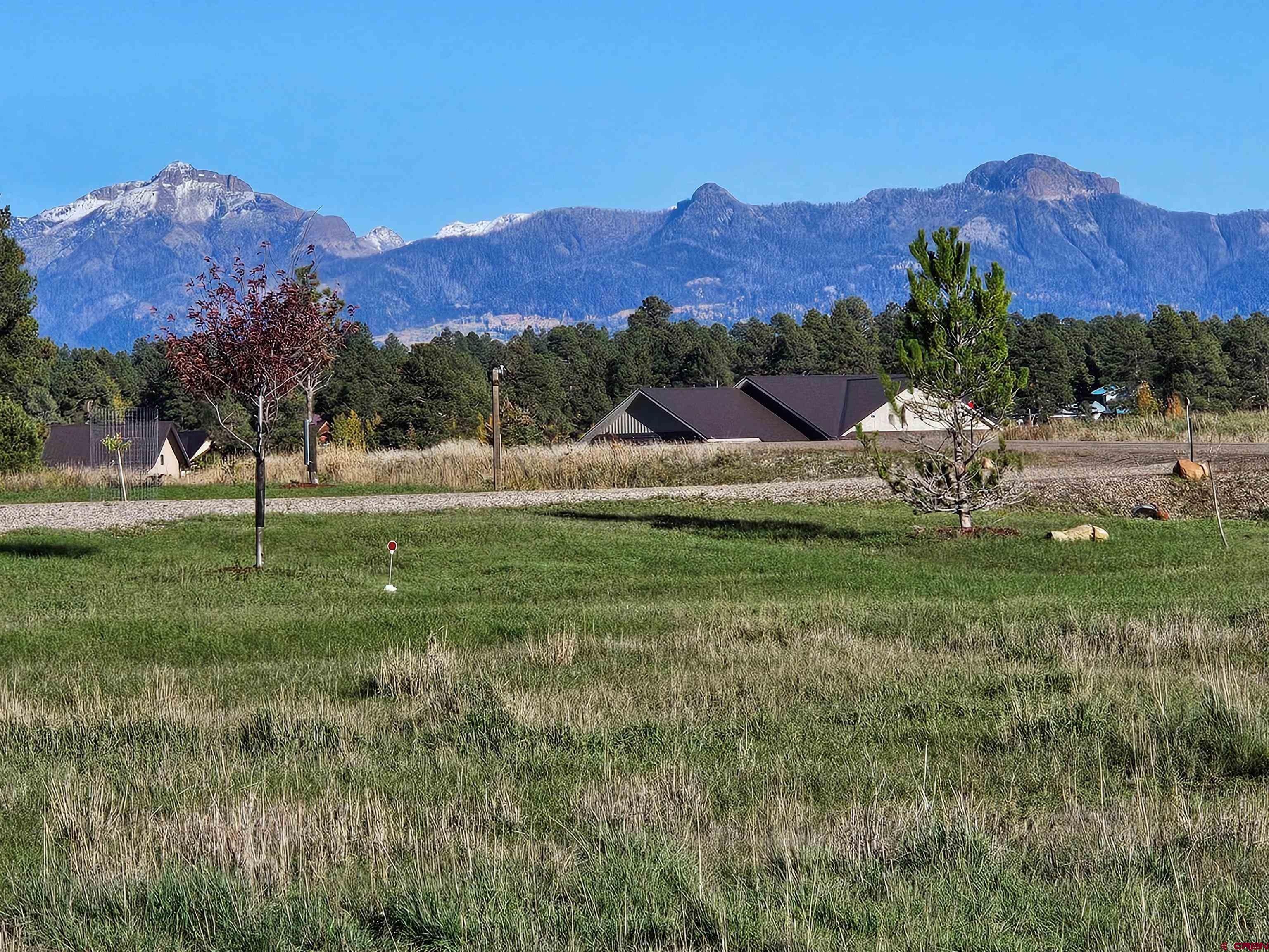 1338 Antelope