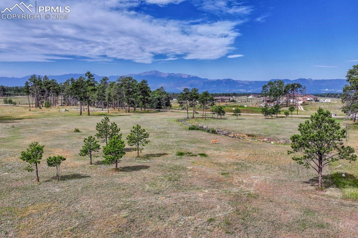 Lot 4 Forest Heights Circle
