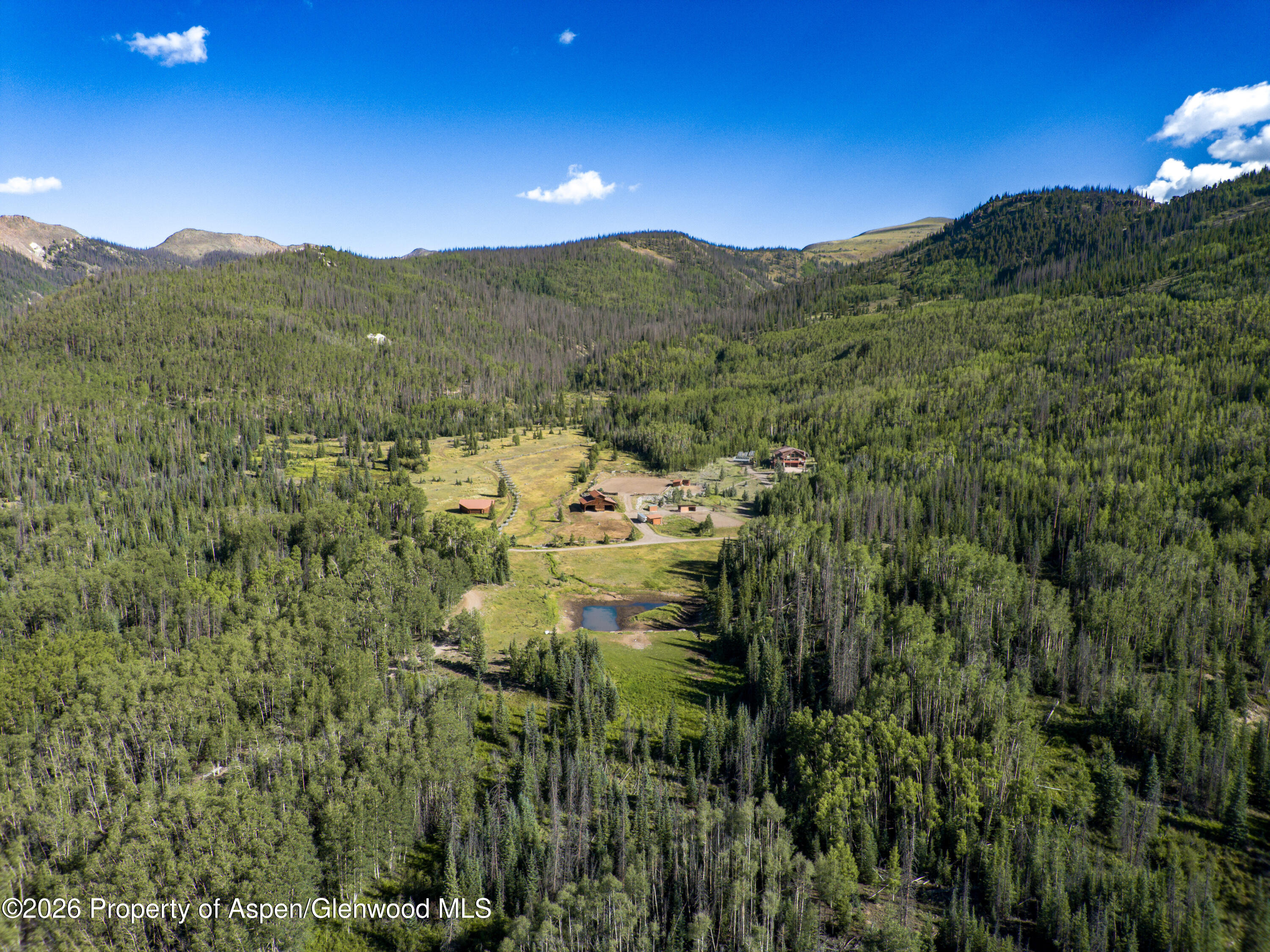 4320 Forest Road 503