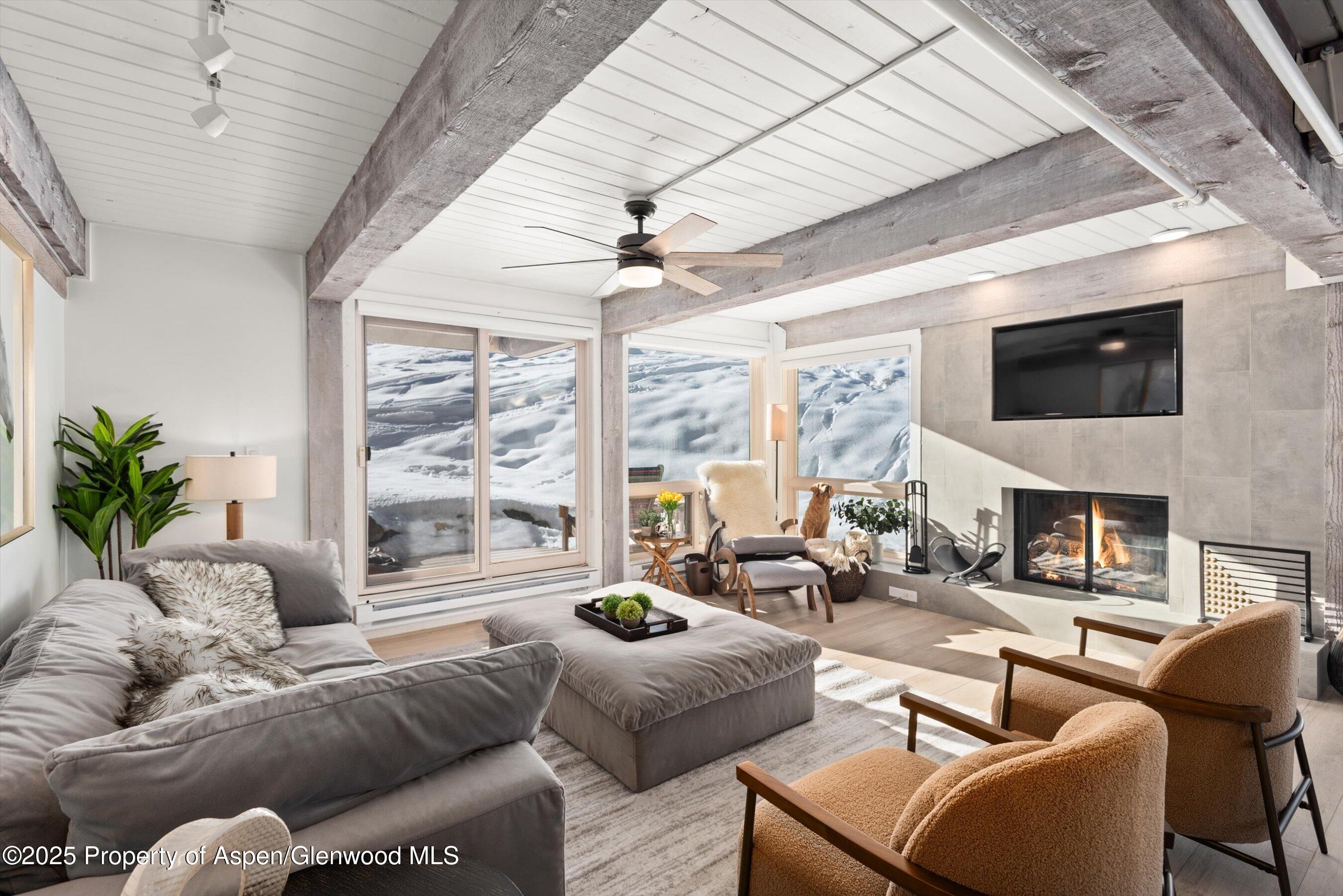 360 Wood Road 113