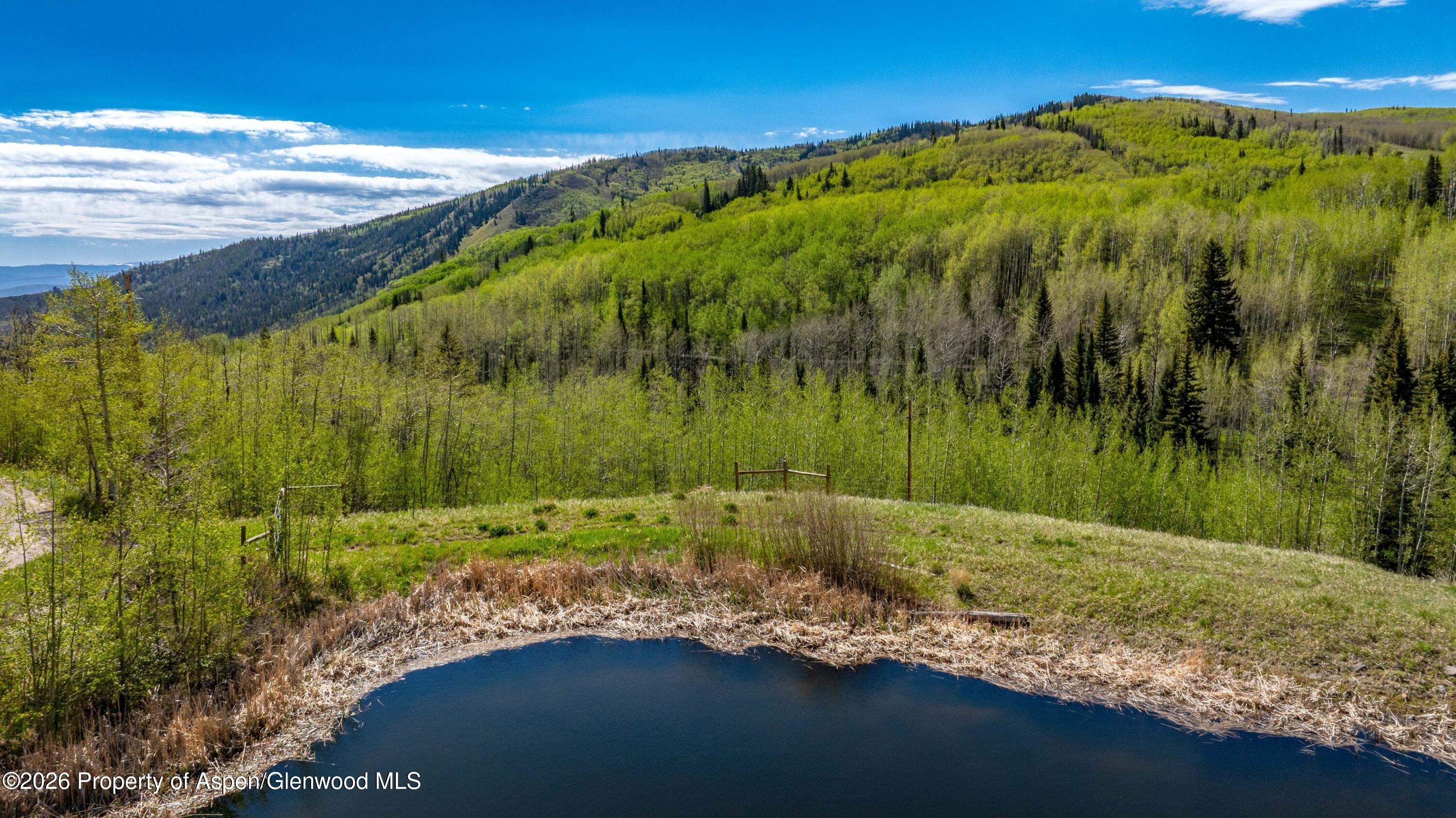 Tbd Forest Service Road 300 Pond