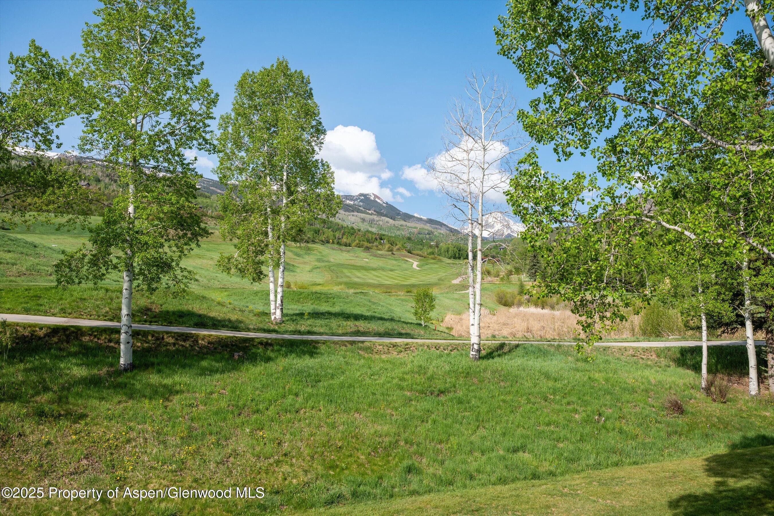 294 Snowmass Club Circle 1205