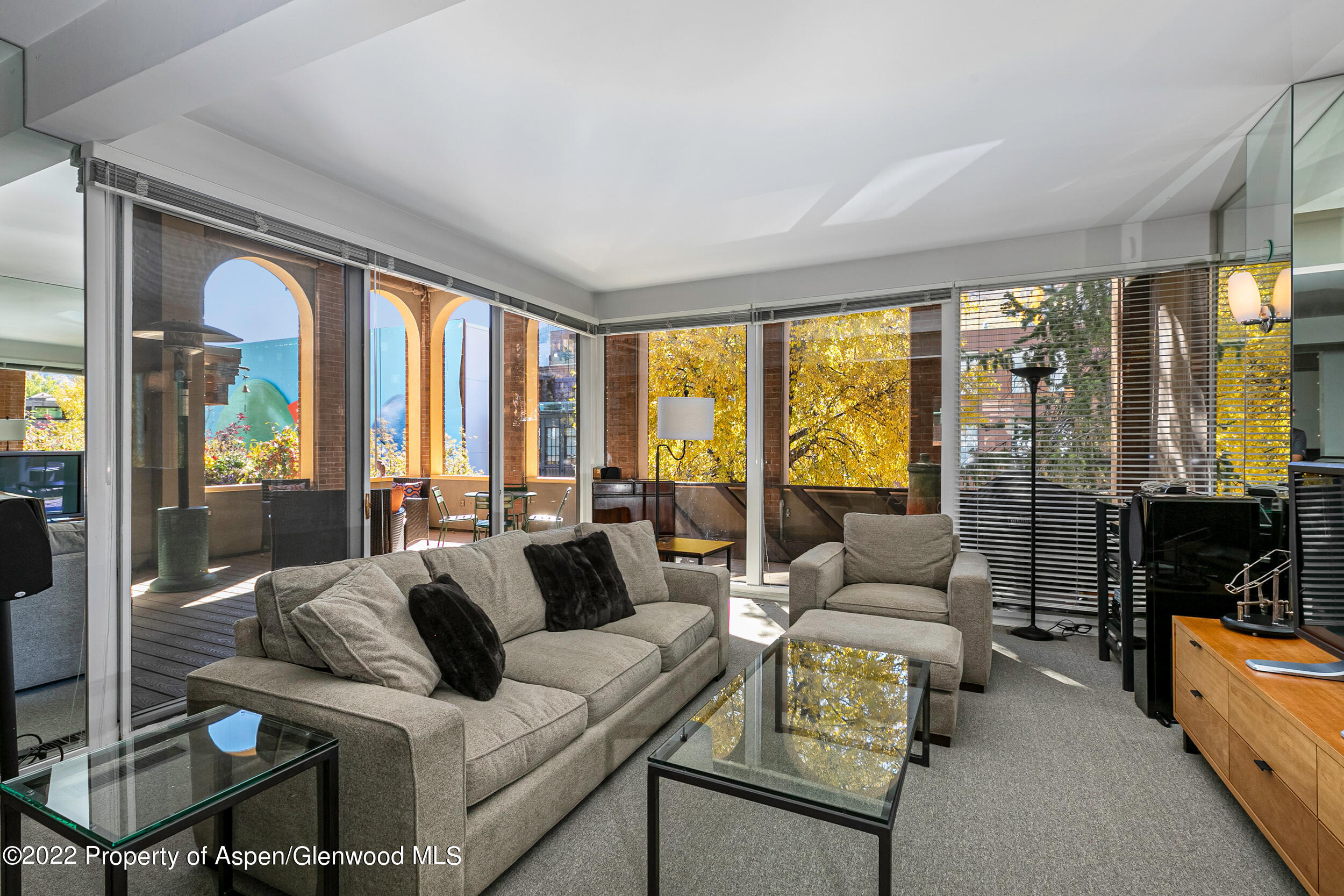 610 E Hyman Avenue Penthouse