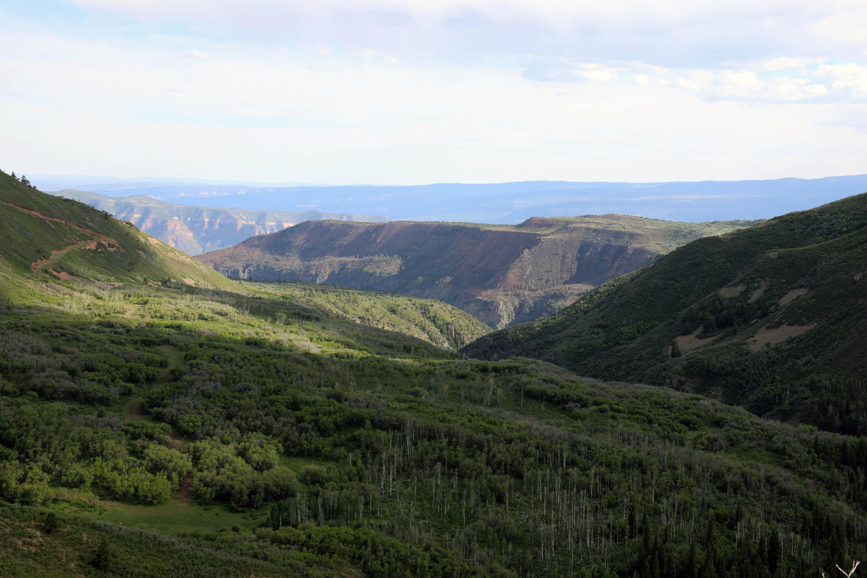 TBD MS Road Road, Western Slope, CO