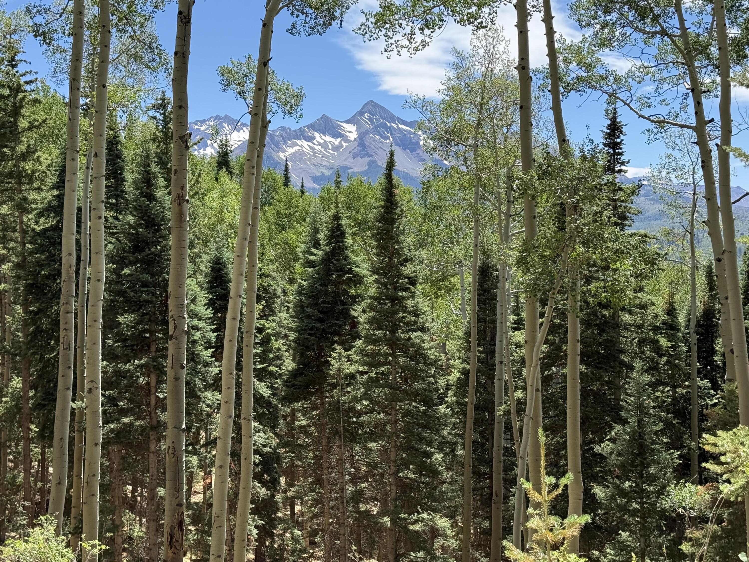 TBD Elk Run