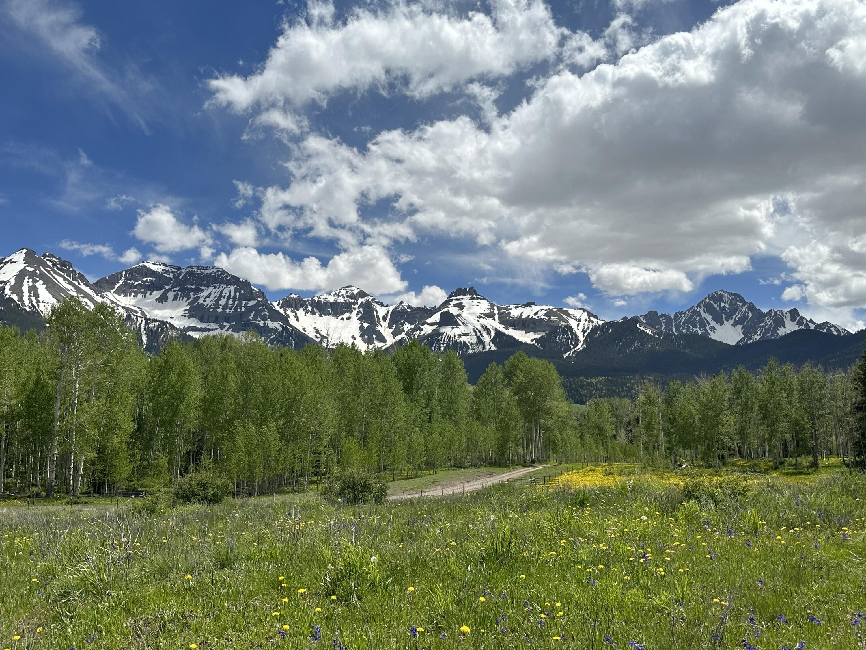 TBD County Road 5