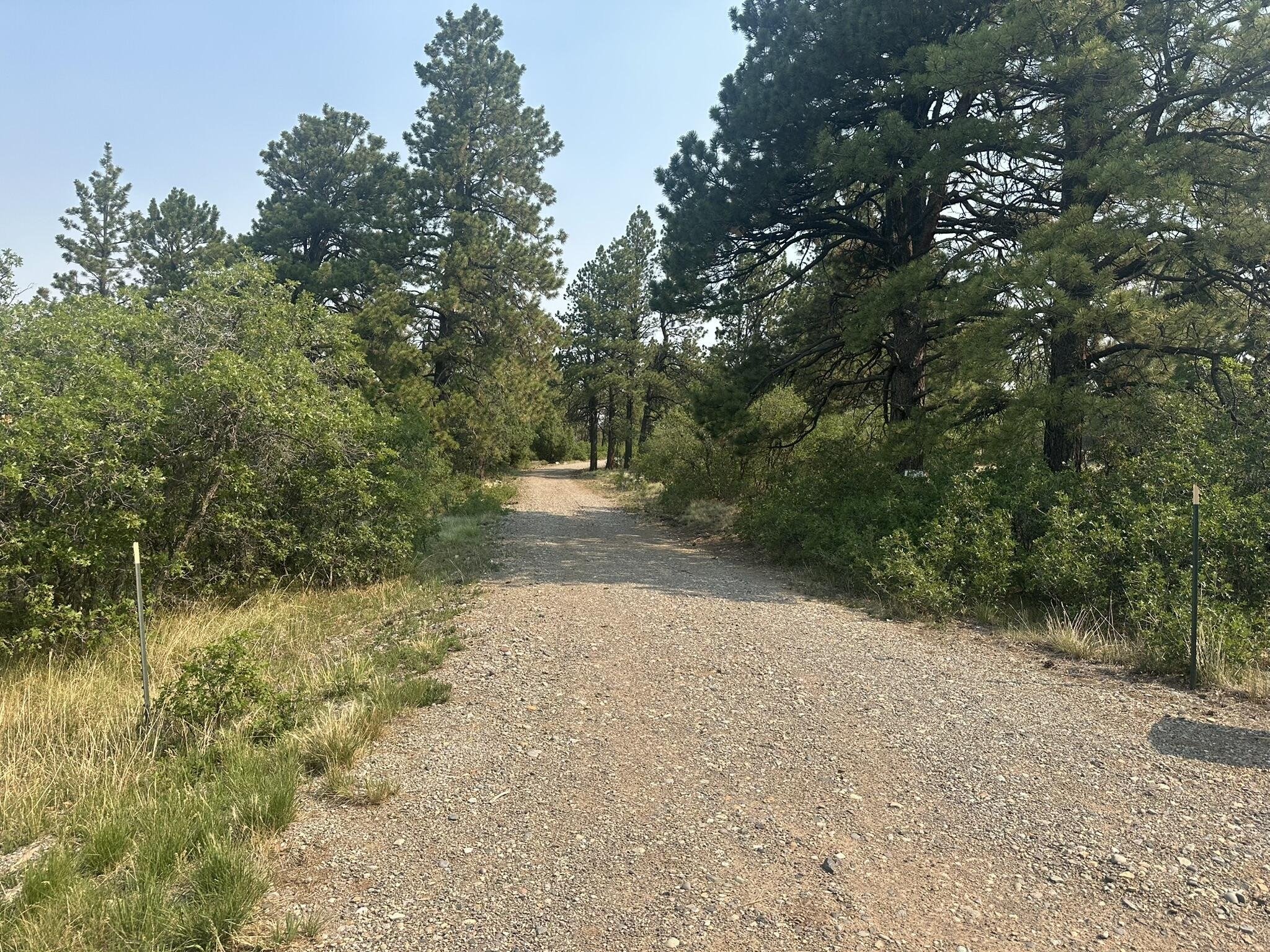 135 Canyon Rim Loop
