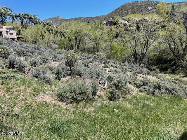 360 Singletree Road