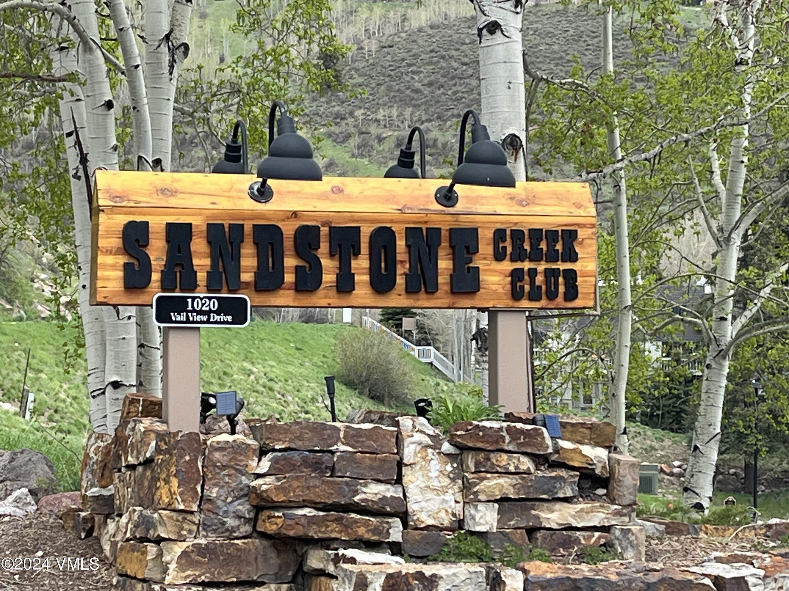 1020 Vail View Drive 3209-11
