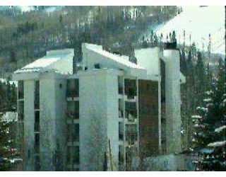 452 East Lionshead, 2A