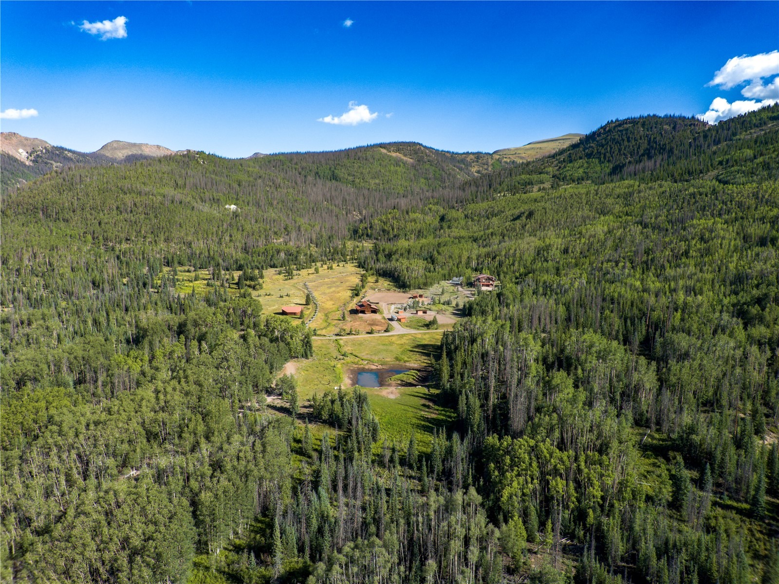 4320 Forest Rd 503