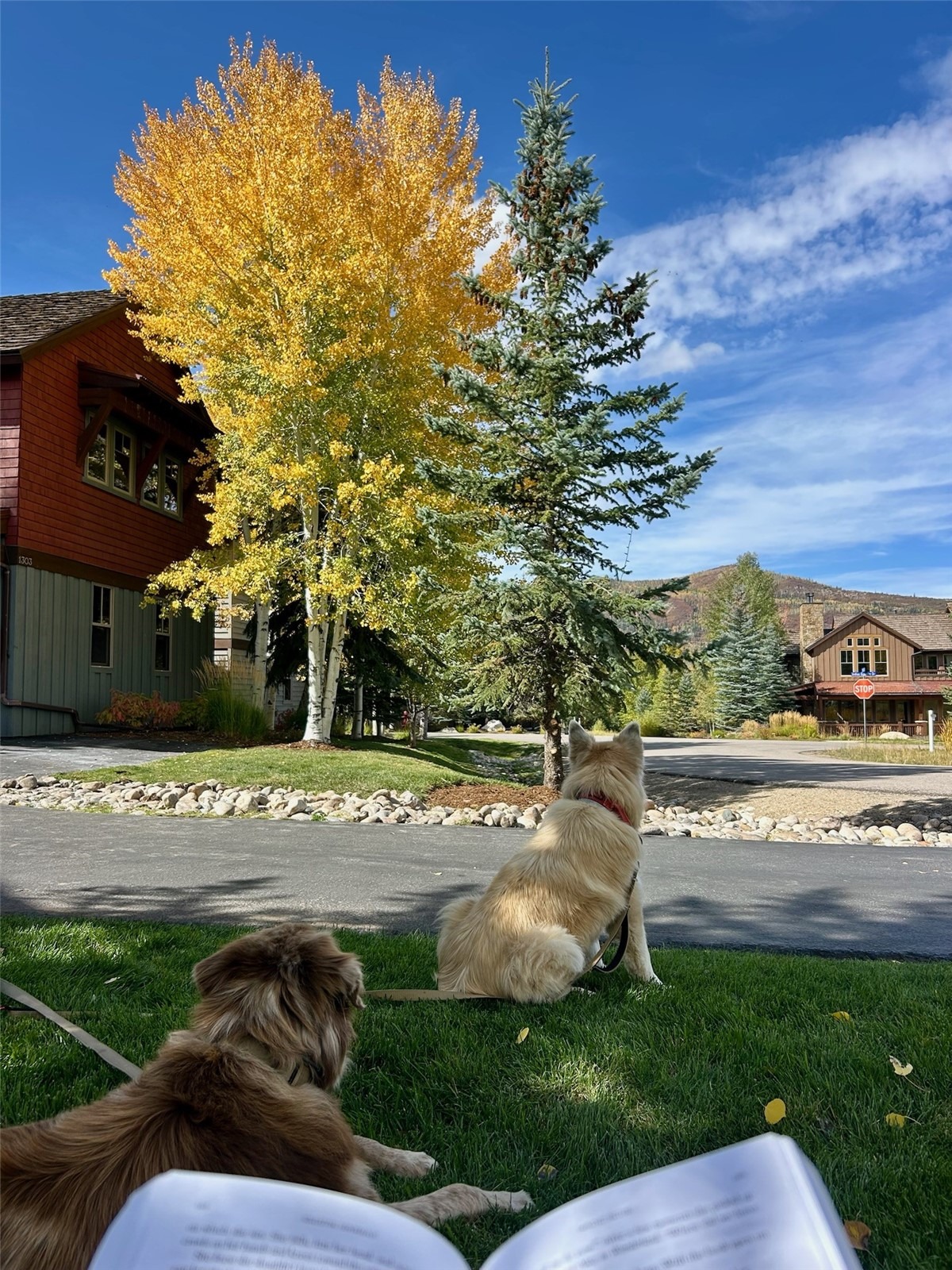 1315 Turning Leaf Court Deed F