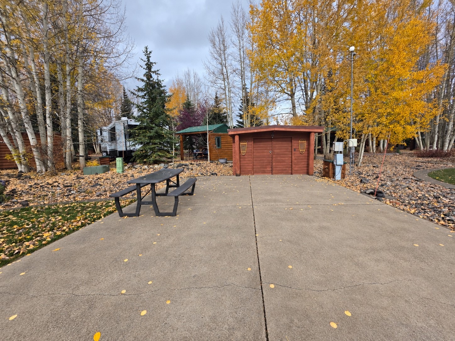 85 Revett Dr #262