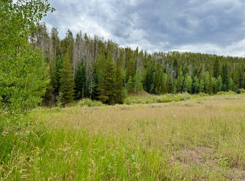 32514 Ute Trail