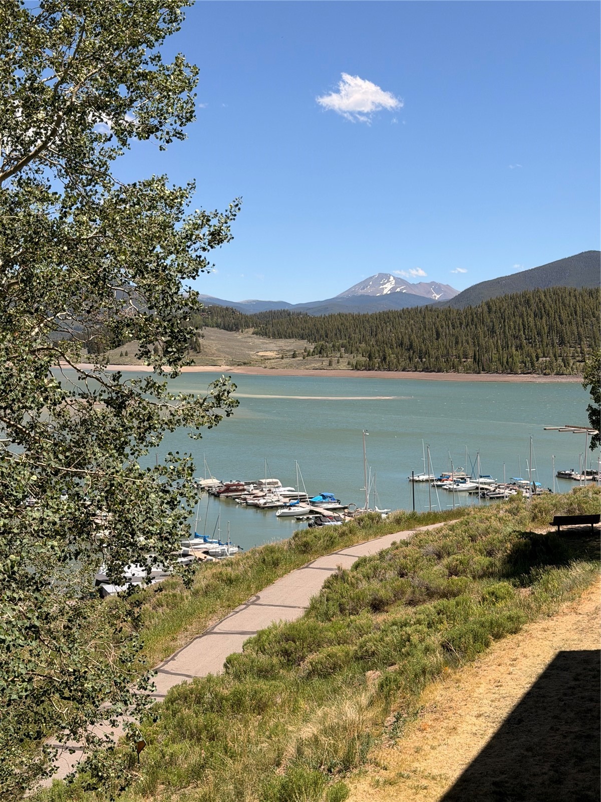 220 E La Bonte Street 219