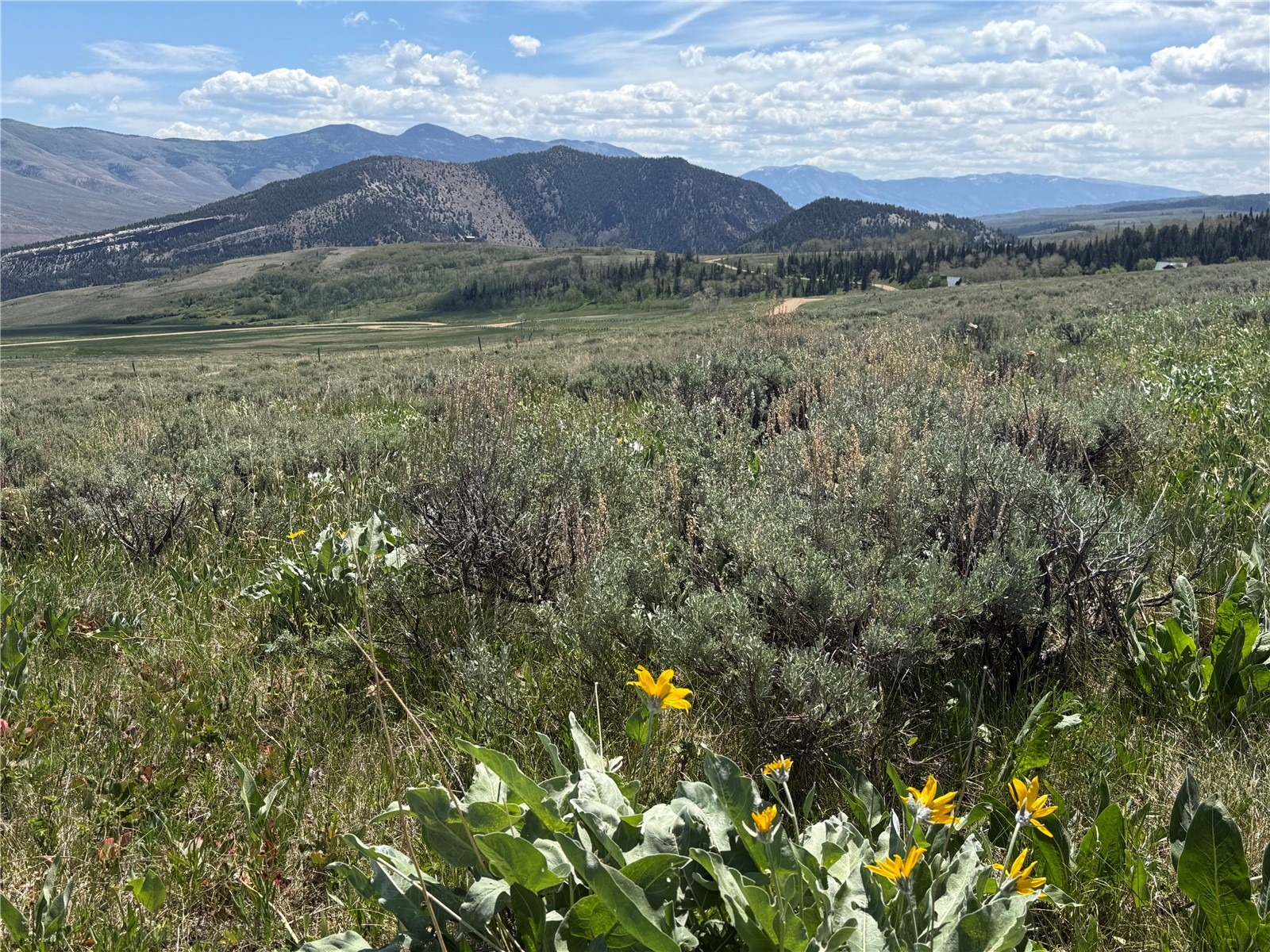 TBD Spring Creek Ranch Road