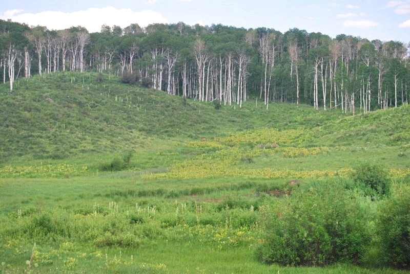 Tbd County Road 11