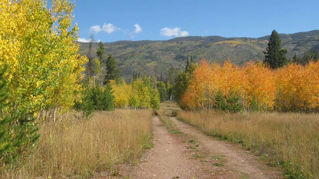 000 Springboard Trail