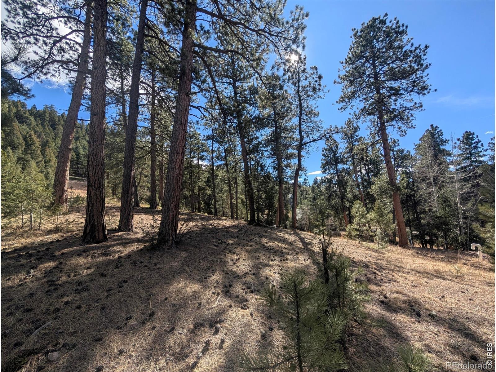7000 - 7022 Blue Creek Road