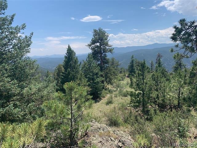 00 Douglas Mtn Drive