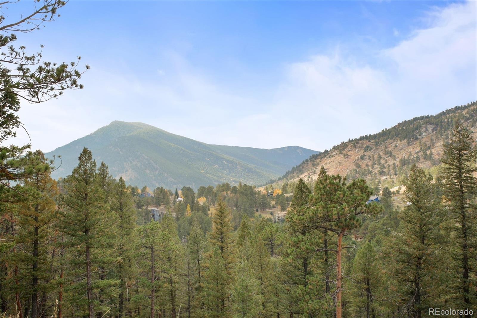 Conifer Drive