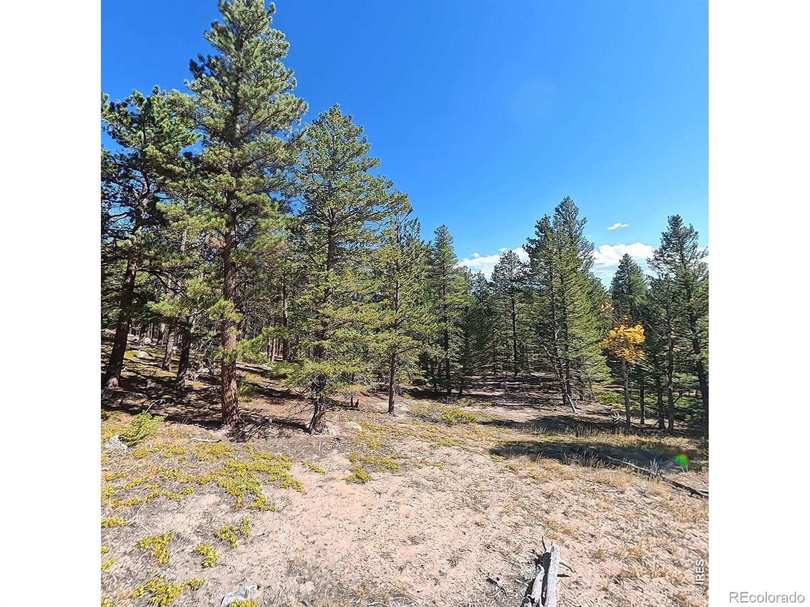 12680 Highway 7