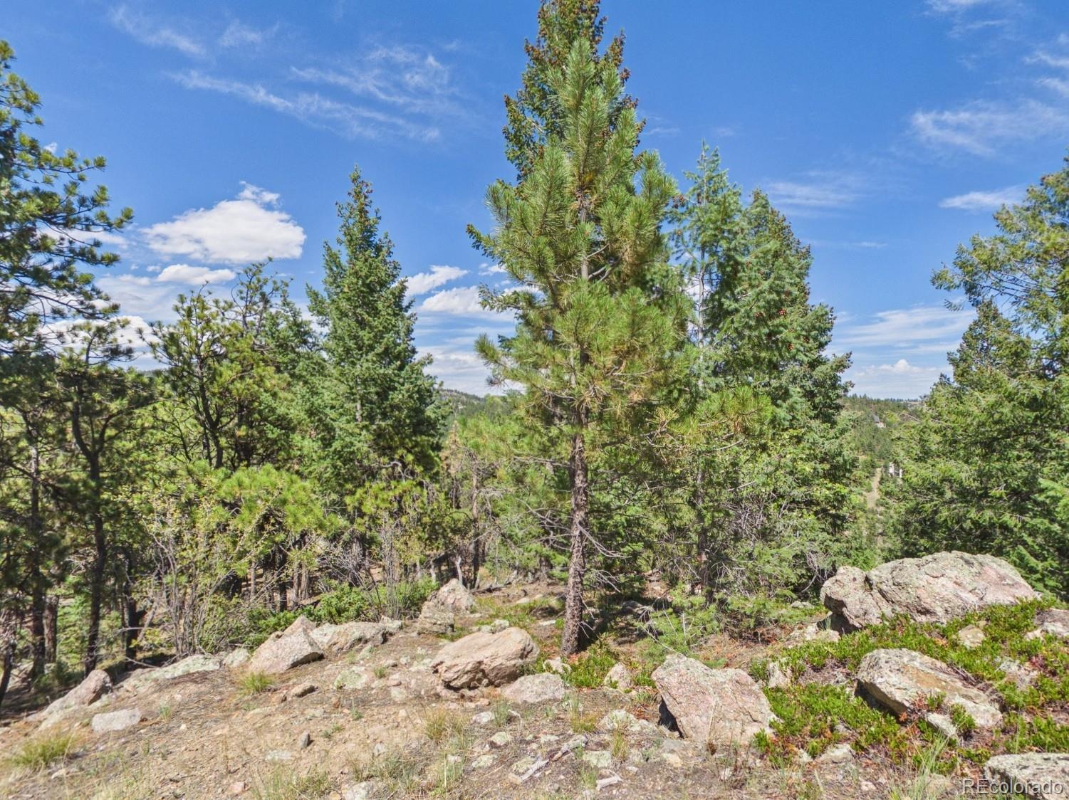 N Turkey Creek Road