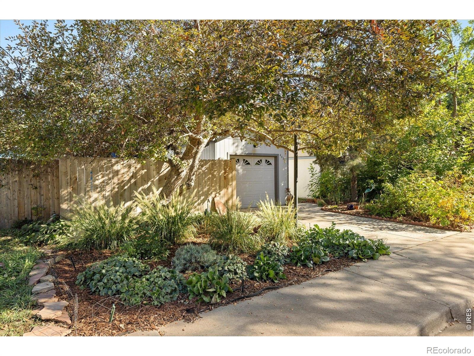 4431 Driftwood Place