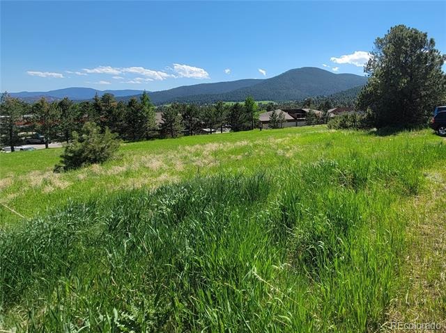 31720 Rocky Village Drive