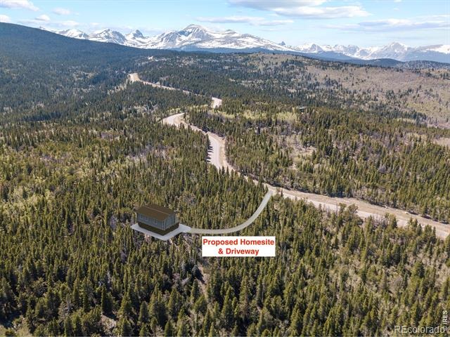 1199 Brainard Lake Road