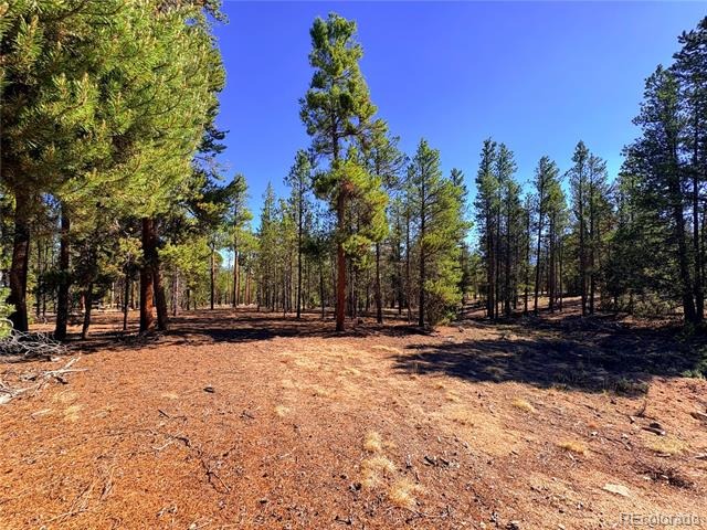 399 Lodgepole Drive