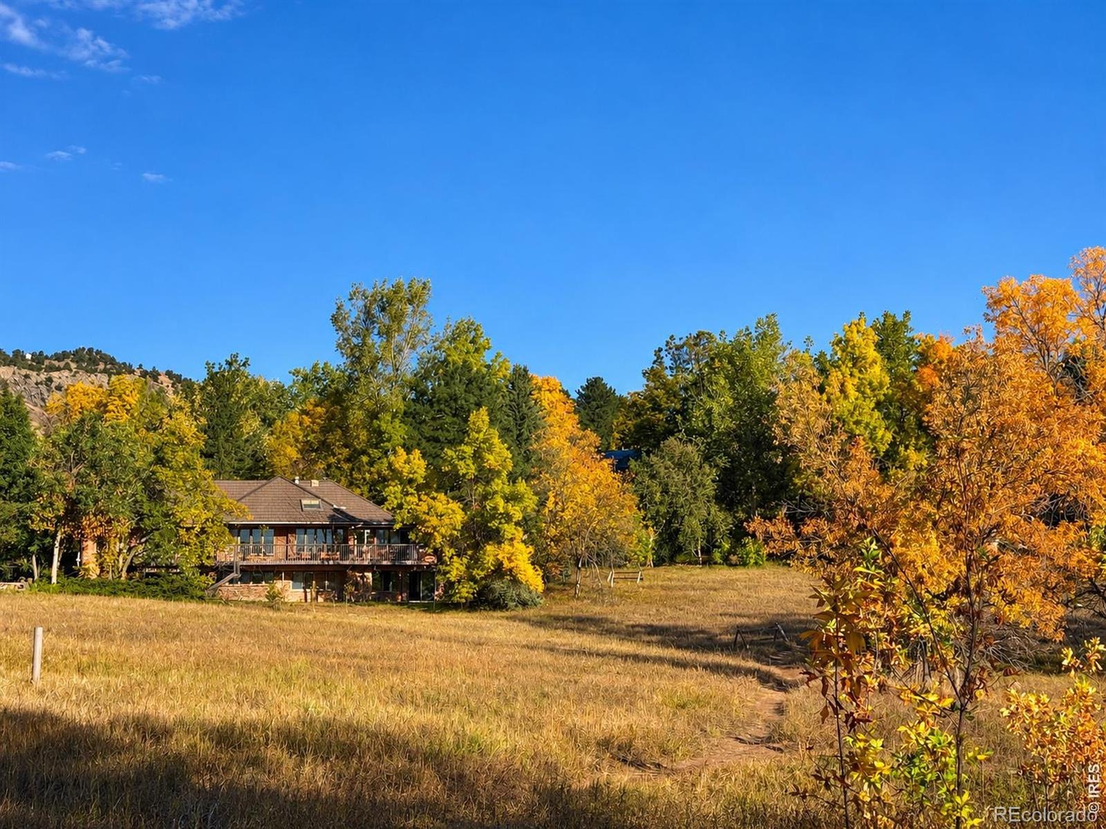 543 Linden Park Drive