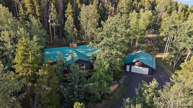 66 Lodgepole Circle