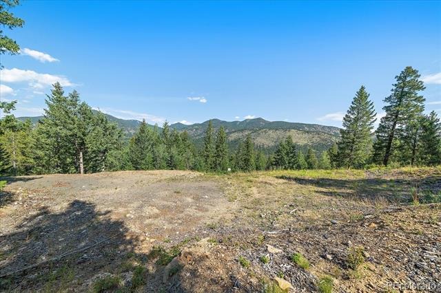 33844 Bergen View Trail