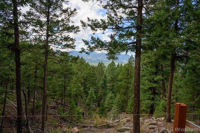 Fern Gulch Lot 14 Road